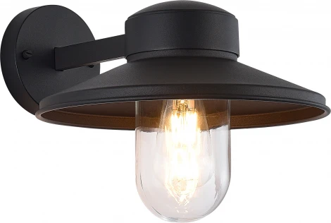 Настенный уличный светильник ST Luce Basko SL9542.701.01 темно-серый/прозрачный E27 1*60W