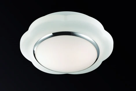 Настенно-потолочный светильник Odeon Light Baha 2403/1C