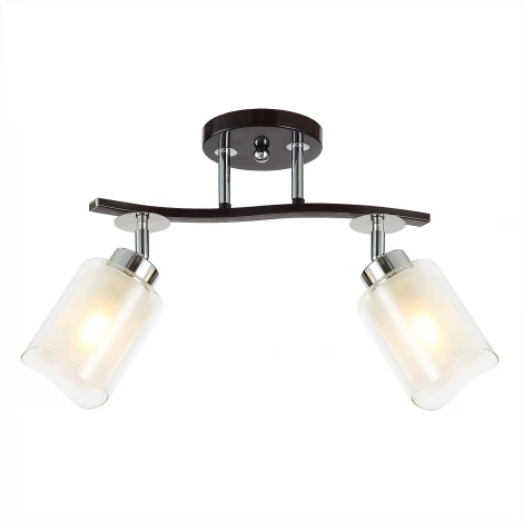 Потолочная люстра на штанге Citilux Фортуна CL156122 (220V)