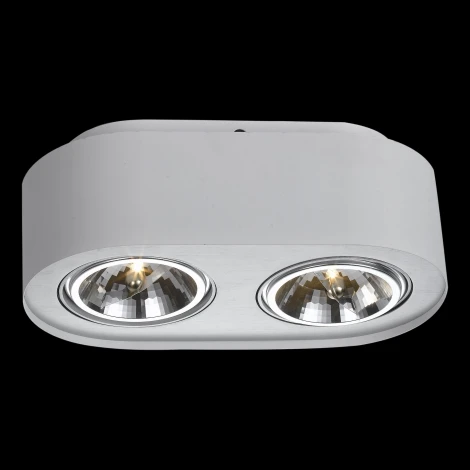 Потолочный светильник Arte Lamp Cliff A5643PL-2WH