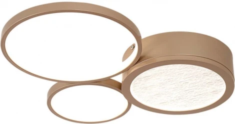 Потолочный светильник круглый F-Promo Campus 4681-3C (LED, 220V)