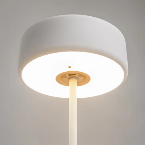 Настольная лампа с аккумулятором Maytoni AI Collaboration MOD229TL-L3W3K2 (регулировка яркости, LED, 220V, выключатель, круглые)