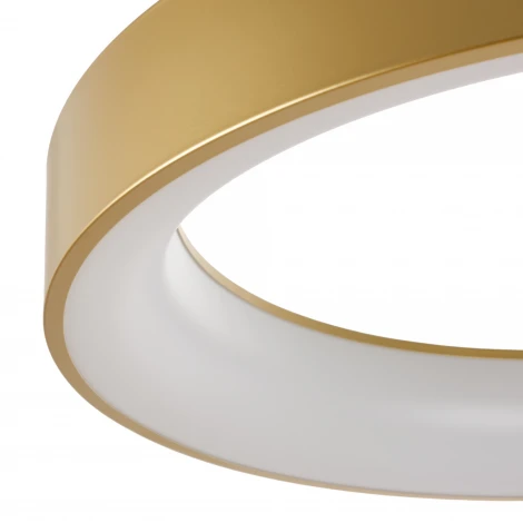 Подвесной светодиодный светильник MyFar Shannon MR2192-1PL (220V, пульт управления, на тросе, круглые, IP40)