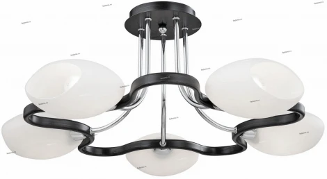Потолочная люстра ST Luce SL196 SL196.702.05