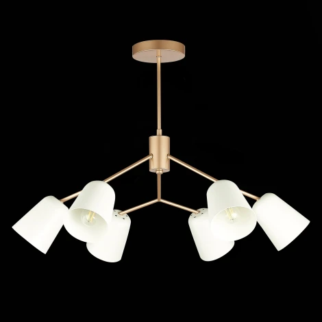 Потолочная люстра на штанге Evoluce Mario SLE155902-06 (220V)