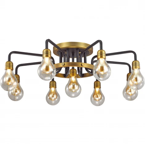 Потолочная люстра Odeon Light Alonzo 3983/9C