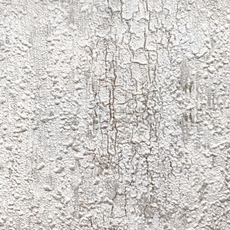 Обои виниловые Erismann Paradise 6 4564-5 10,05 x 1,06 м