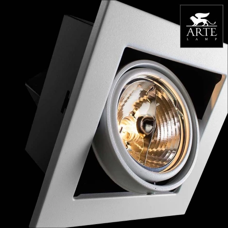 Встраиваемый точечный светильник Arte Lamp Cardani Medio A5930PL-1WH (220V)