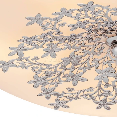 Настенно-потолочный светильник Silver Light Verbena 836.50.5