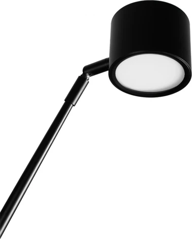 Торшер изогнутый Loft It Sampei 10374/2600 (LED, 220V)