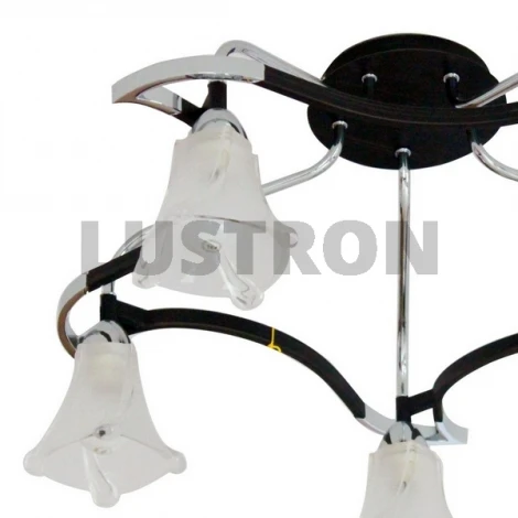 Потолочная люстра ST Luce SL307 SL307.702.05