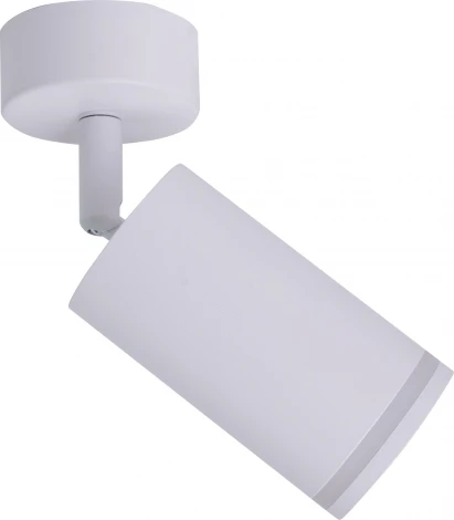 Спот Brizzi Aras BR08077