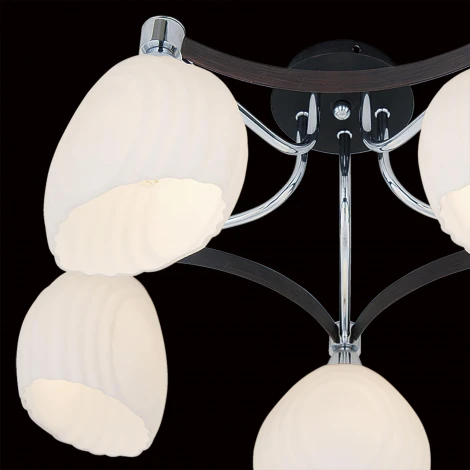 Потолочная люстра Citilux Iris CL143151
