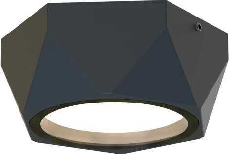 Потолочный светильник уличный Favourite Fantum 4670-1U (220V, круглые, IP54)