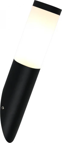 Уличный настенный светильник Escada Halite 30012W/01 1x25Вт, E27, металл/пластик, черный (220V, круглые, IP44)