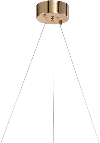 Подвесной светильник Zortes Ringer ZRS.57792.96 (LED, 220V, на тросе, круглые)