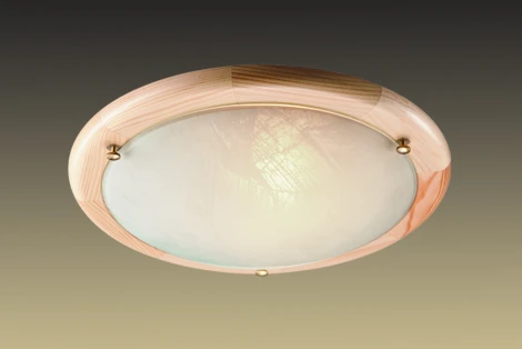 Настенно-потолочный светильник Sonex Alabastro 272