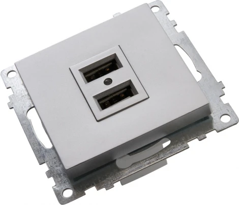 Розетка с USBх2 (серебро) Stekker Катрин 39588