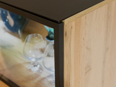 Шкаф Forest ОГОГО 330078