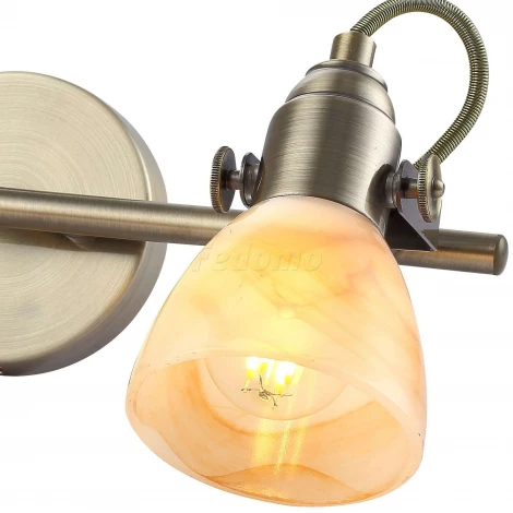 Спот Arte Lamp Tulip A9581AP-2AB