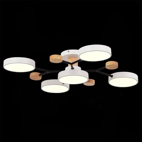 Потолочная люстра на штанге Evoluce Faema SLE6006-502-05