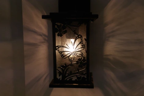 Настенный фонарь уличный Odeon Light Papion 4038/1W