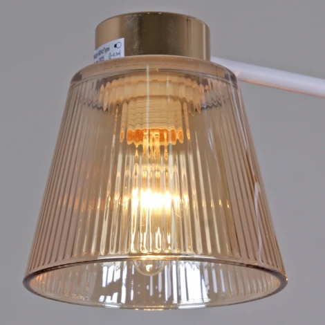 Подвесная люстра на штанге Reluce 20560-0.3-02 WH+FG