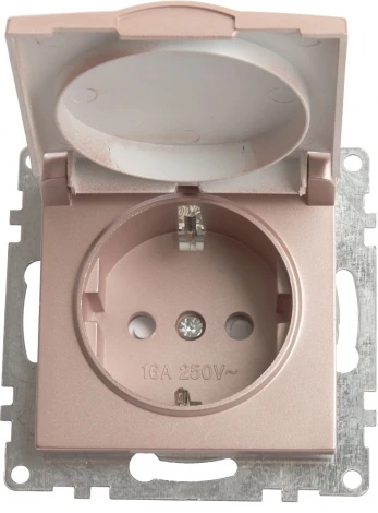 Розетка с заземлением защитной крышкой и шторками (шампань) Stekker Катрин 39594