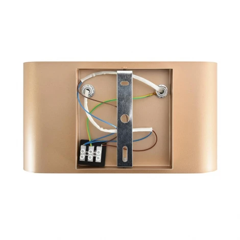 Настенный светильник Lumion Elma 8393/2W золото, металл G9 2*20W 220V