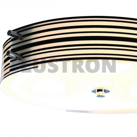 Потолочный светильник ST Luce Hegia SL484.542.06