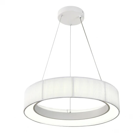 Подвесной светильник светодиодный с пультом и ночным режимом Indigo Luminosa V000209L (13041/B/1P White)