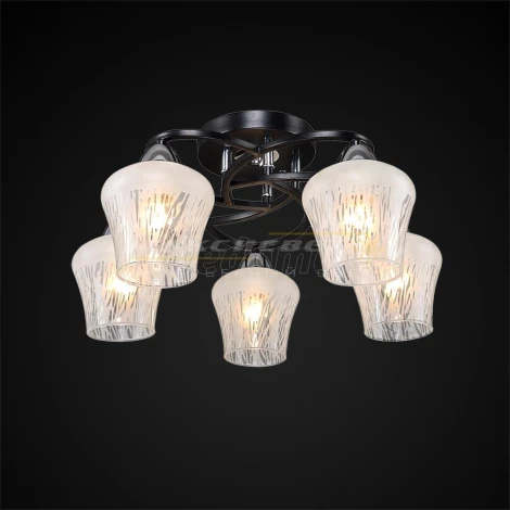 Максисвет 1-3080-5-BK+CR E27