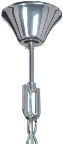 Подвесная люстра Vitaluce V5860 V5860-9/10 (220V, цветы, лепестки)