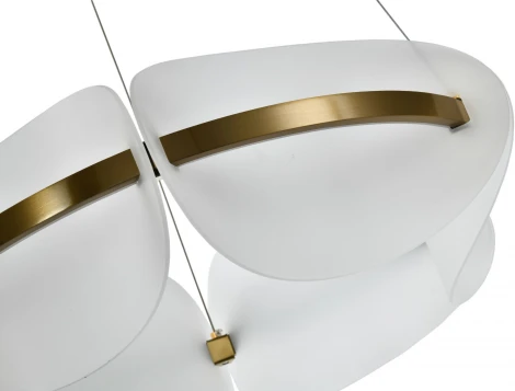 Подвесной светильник LED Zortes Mon ZRS.1210.60 (220V, на тросе, круглые)