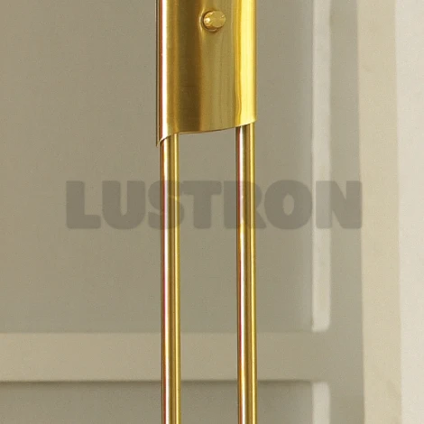 Торшер Lussole Comfort LSN-8245-02
