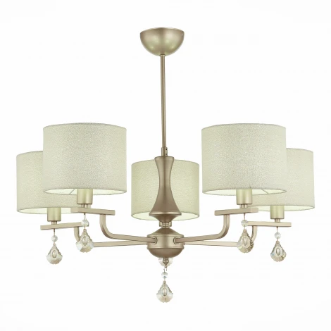 Потолочная люстра Evoluce Elida SLE107703-05