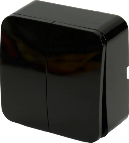 Выключатель двухклавишный (черный) Stekker София 49293