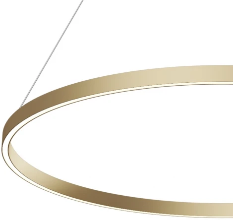 Подвесной светильник Maytoni Rim MOD058PL-L54BSK