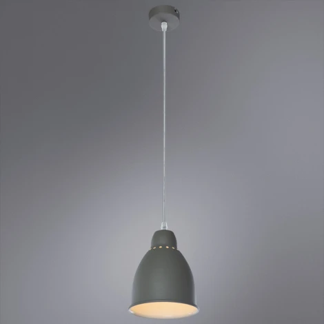 Подвесной светильник Arte Lamp Braccio A2054SP-1GY
