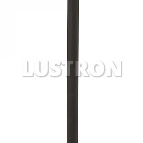 Торшер Arte Lamp Moscow A6106PN-1BK