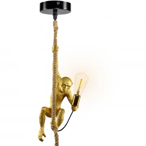 Подвесной светильник Ritter Monkey 52650 6