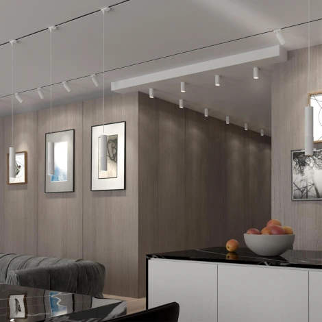 Трековый светильник Novotech Port 370770 (220V, круглые)