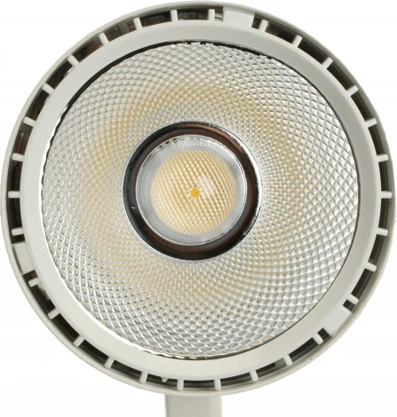 Трековый светодиодный светильник однофазный 40W 220V Feron AL103 48943 (круглые, IP40)