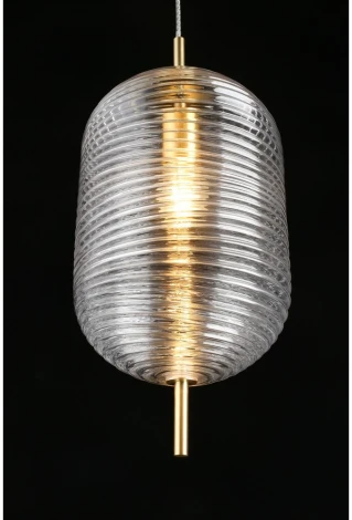 Подвесной светильник Aployt Mattia APL.316.16.01 (220V, на проводе, круглые)