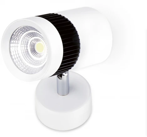 Спот светодиодный Ambrella TECHNO SPOT TN101/10W (220V)