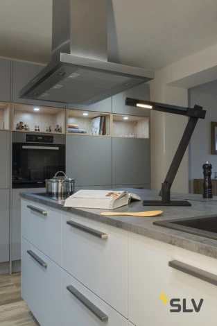 Офисная настольная лампа Slv MECANICA PLUS TL 1002404