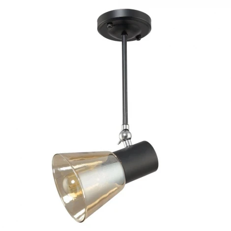 Потолочная люстра Максисвет Техно 1-4719-1-BK E27