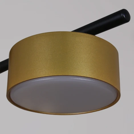 Потолочная люстра на штанге Reluce 52008-0.3-08 GX53