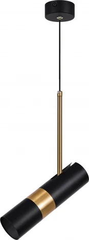 Подвесной светильник ЭРА PL33 BK/GD (220V, на проводе)