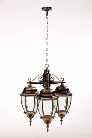 Уличный светильник подвесной Oasis Light ARSENAL L 91270L/3 Gb